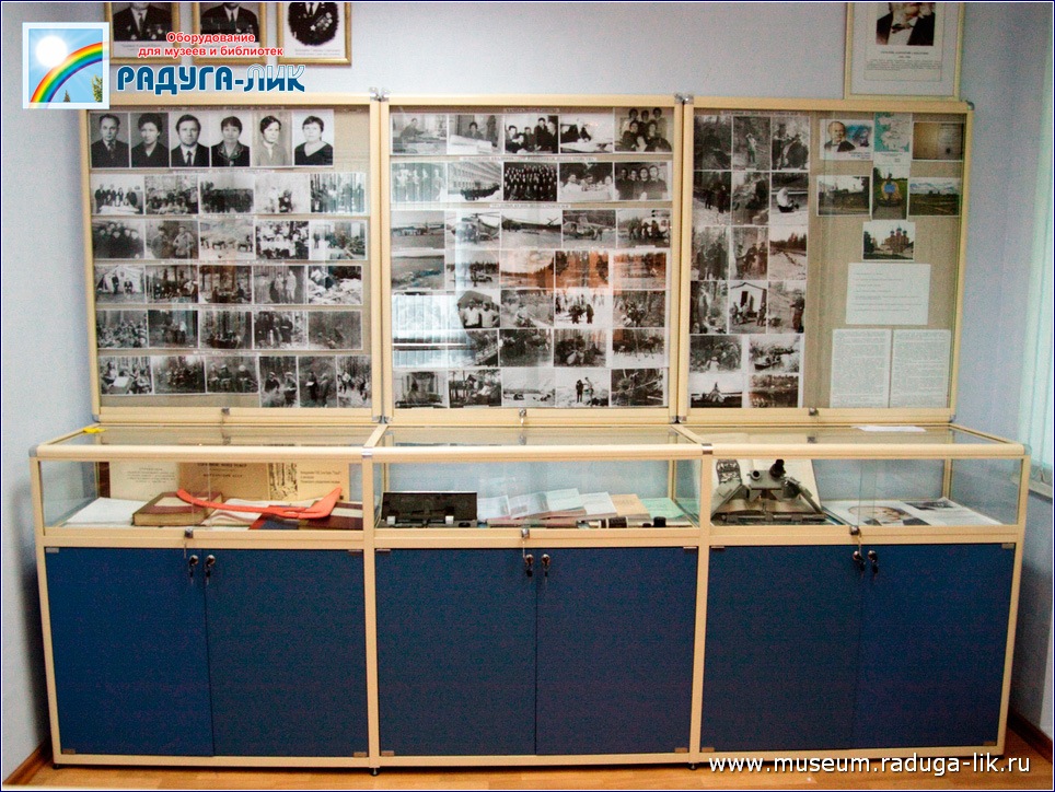 Профильные настенные стенды и горизонтальные витрины в Музее Лесоустройства