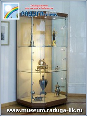 Музейная витрина профессионального класса - Коломенский краеведческий музей